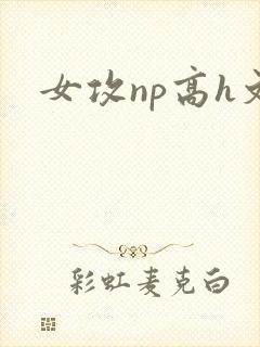 女攻np高h文