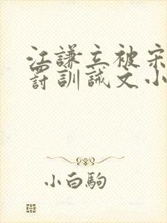 江谦立被宋城姜罚训诫文小说叫什么