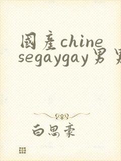 国产chinesegaygay男男网站