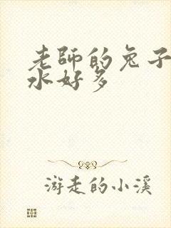 老师的兔子好软水好多