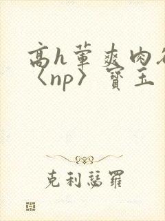 高h荤爽肉欲文〈np〉宝玉