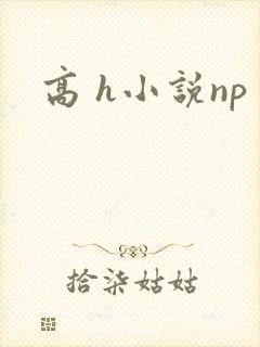 高 h小说np