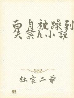 白月被躁到高潮失禁h小说