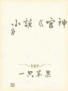 小说《官神夏想》封面