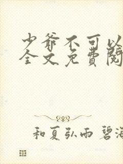 少爷不可以小说全文免费阅读无弹窗