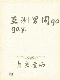 亚洲男同gay gay.