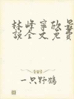 林峰宁欣最新小说全文免费阅读