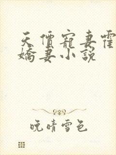 天价宠妻霍总小娇妻小说