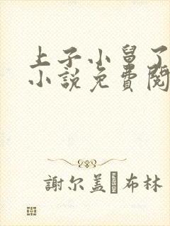 上子小舅了老婆小说免费阅读