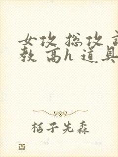 女攻 总攻 调教 高h 道具