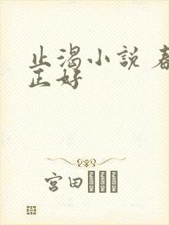 止渴小说 春光正好