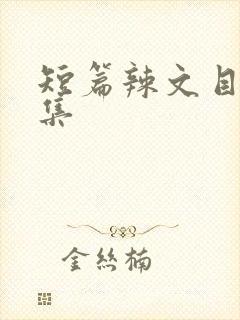 短篇辣文目录合集