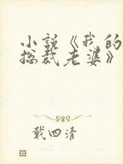 小说《我的冰山总裁老婆》