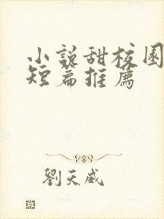 小说甜校园言情短篇推荐