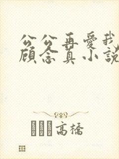 公公再爱我一次顾念真小说免费阅读全文封面