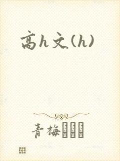 高h文(h)