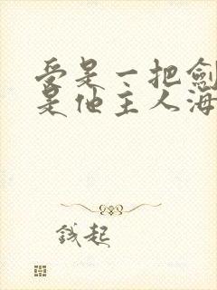 受是一把剑,攻是他主人海棠的小说封面