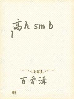 高h sm bl封面