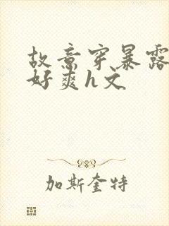 故意穿暴露被强好爽h文封面