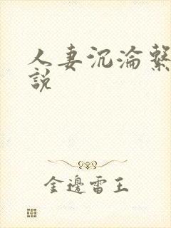 人妻沉沦系列小说