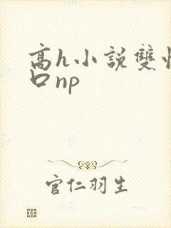 高h小说双性重口np