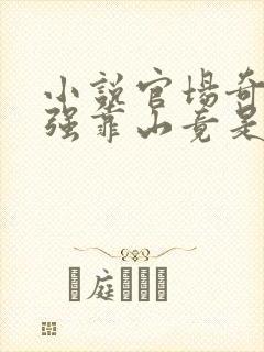 小说官场奇才最强靠山竟是我自己李澜在线