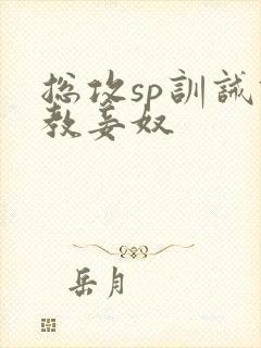 总攻sp训诫调教妾奴