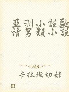 亚洲小说欧美激情另类小说