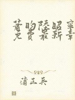 萧昀陆昭宁全文免费最新章节阅读封面