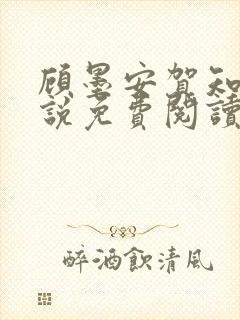 顾墨安贺知夏小说免费阅读最新章节封面