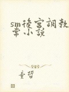 sm后宫调教日常小说