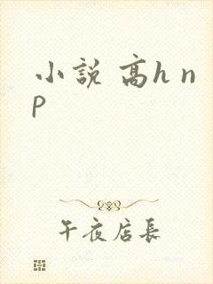 小说 高h np
