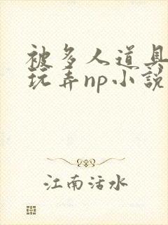 被多人道具调教玩弄np小说封面