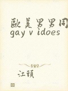 欧美男男同性恋gayⅴidoes封面