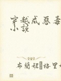 穿越成恶毒女配小说