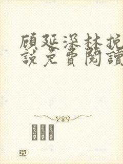 顾延深林挽音小说免费阅读最新章节