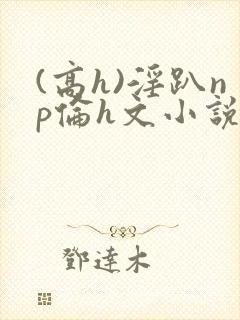 (高h)淫趴np伦h文小说