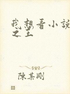 我想看小说万相之王