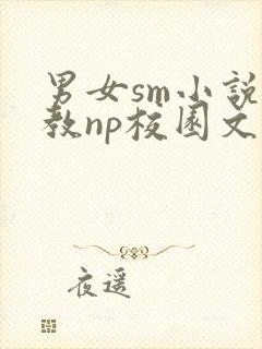 男女sm小说调教np校园文