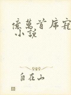 亿万首席宠上瘾 小说封面