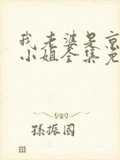 我老婆是京圈大小姐全集免费阅读封面