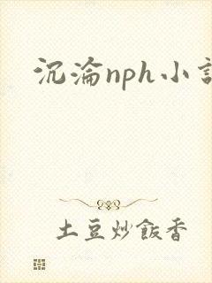 沉沦nph小说