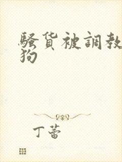 骚货被调教成母狗