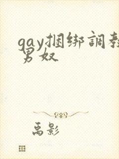 gay捆绑调教男奴
