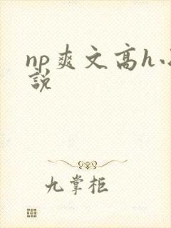 np爽文高h小说