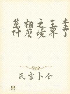 万相之王李洛到什么境界了