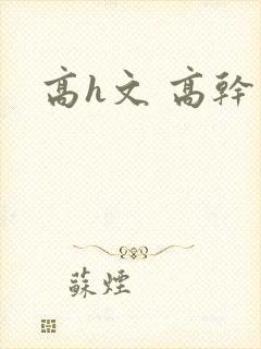 高h文 高干文