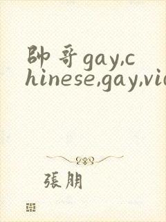 帅哥gay,chinese,gay,videos,gv,fees