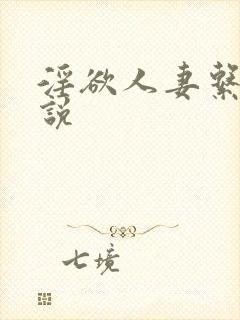 淫欲人妻系列小说封面