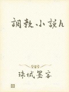 调教小说h封面